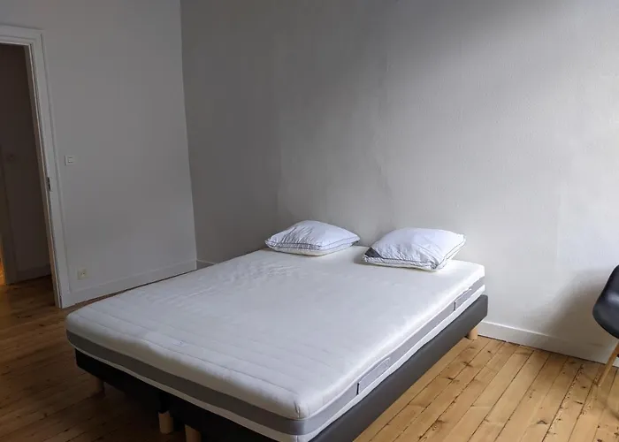 Logis de la Grande Rue, appartement cœur de ville, spacieux, lumineux 6 pers